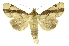  ( - INB0003862461)  @14 [ ] Copyright (2012) Juan Mata Lorenzen Unspecified