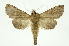  ( - INB0003863089)  @11 [ ] Copyright (2012) Juan Mata Lorenzen Unspecified