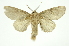  ( - INB0003863090)  @11 [ ] Copyright (2012) Juan Mata Lorenzen Unspecified