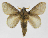  ( - INB0003863140)  @12 [ ] Copyright (2012) J. Montero Instituto Nacional de Biodiversidad