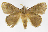  ( - INB0003871452)  @12 [ ] Copyright (2012) J. Montero Instituto Nacional de Biodiversidad