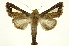  ( - INB0003871461)  @11 [ ] Copyright (2012) Juan Mata Lorenzen Unspecified