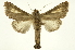  ( - INB0003871461)  @11 [ ] Copyright (2012) Juan Mata Lorenzen Unspecified