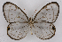  ( - INB0003872302)  @12 [ ] CreativeCommons - Attribution Non-Commercial Share-Alike (2012) National Biodiversity Institute of Costa Rica National Biodiversity Institute of Costa Rica
