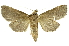  ( - INB0003873284)  @11 [ ] Copyright (2012) Juan Mata Lorenzen Unspecified