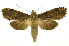  ( - INB0003873302)  @13 [ ] Copyright (2012) Juan Mata Lorenzen Unspecified