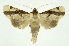  ( - INB0003880684)  @13 [ ] Copyright (2012) Juan Mata Lorenzen Unspecified