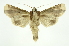  ( - INB0003880684)  @13 [ ] Copyright (2012) Juan Mata Lorenzen Unspecified