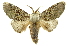  ( - INB0003880731)  @14 [ ] Copyright (2012) Juan Mata Lorenzen Unspecified