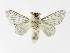  ( - INB0003880773)  @14 [ ] Copyright (2012) J. Montero Instituto Nacional de Biodiversidad