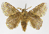 ( - INB0003885073)  @14 [ ] Copyright (2012) J. Montero Instituto Nacional de Biodiversidad