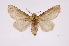  ( - INB0003885078)  @13 [ ] Copyright (2012) I. Chacon Instituto Nacional de Biodiversidad
