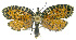  ( - INB0003885233)  @12 [ ] CreativeCommons - Attribution Non-Commercial Share-Alike (2012) National Biodiversity Institute of Costa Rica National Biodiversity Institute of Costa Rica