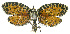  ( - INB0003885233)  @13 [ ] CreativeCommons - Attribution Non-Commercial Share-Alike (2012) National Biodiversity Institute of Costa Rica National Biodiversity Institute of Costa Rica