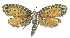  ( - INB0003885234)  @12 [ ] CreativeCommons - Attribution Non-Commercial Share-Alike (2012) National Biodiversity Institute of Costa Rica National Biodiversity Institute of Costa Rica