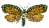  ( - INB0003885235)  @13 [ ] CreativeCommons - Attribution Non-Commercial Share-Alike (2012) National Biodiversity Institute of Costa Rica National Biodiversity Institute of Costa Rica