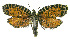  ( - INB0003885235)  @13 [ ] CreativeCommons - Attribution Non-Commercial Share-Alike (2012) National Biodiversity Institute of Costa Rica National Biodiversity Institute of Costa Rica