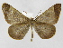  ( - INB0003888233)  @13 [ ] Copyright (2012) J. Montero Instituto Nacional de Biodiversidad
