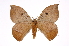  ( - INB0003888297)  @14 [ ] Copyright (2012) I. Chacon Instituto Nacional de Biodiversidad