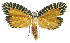  ( - INB0003888387)  @13 [ ] CreativeCommons - Attribution Non-Commercial Share-Alike (2012) National Biodiversity Institute of Costa Rica National Biodiversity Institute of Costa Rica