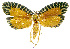  ( - INB0003888387)  @12 [ ] CreativeCommons - Attribution Non-Commercial Share-Alike (2012) National Biodiversity Institute of Costa Rica National Biodiversity Institute of Costa Rica