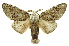  ( - INB0003888392)  @14 [ ] Copyright (2012) Juan Mata Lorenzen Unspecified