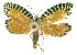  ( - INB0003888656)  @13 [ ] CreativeCommons - Attribution Non-Commercial Share-Alike (2012) National Biodiversity Institute of Costa Rica National Biodiversity Institute of Costa Rica