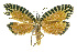  ( - INB0003888656)  @12 [ ] CreativeCommons - Attribution Non-Commercial Share-Alike (2012) National Biodiversity Institute of Costa Rica National Biodiversity Institute of Costa Rica