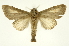  ( - INB0003903454)  @11 [ ] Copyright (2012) Juan Mata Lorenzen Unspecified