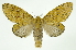  ( - INB0003928854)  @14 [ ] Copyright (2012) Juan Mata Lorenzen Unspecified