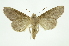  ( - INB0003934952)  @11 [ ] Copyright (2012) Juan Mata Lorenzen Unspecified