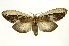 ( - INB0003935030)  @14 [ ] Copyright (2012) Juan Mata Lorenzen Unspecified