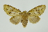  ( - INB0003935271)  @14 [ ] Copyright (2012) Juan Mata Lorenzen Unspecified