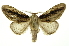  ( - INB0003935306)  @14 [ ] Copyright (2012) Juan Mata Lorenzen Unspecified
