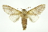  ( - INB0003935323)  @12 [ ] Copyright (2012) Juan Mata Lorenzen Unspecified