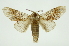  ( - INB0003935331)  @11 [ ] Copyright (2012) Juan Mata Lorenzen Unspecified