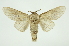 ( - INB0003935331)  @11 [ ] Copyright (2012) Juan Mata Lorenzen Unspecified