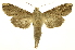  ( - INB0003935383)  @13 [ ] Copyright (2012) Juan Mata Lorenzen Unspecified