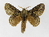  ( - INB0003935567)  @14 [ ] Copyright (2012) J. Montero Instituto Nacional de Biodiversidad