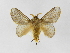  ( - INB0003935580)  @13 [ ] Copyright (2012) J. Montero Instituto Nacional de Biodiversidad