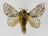  ( - INB0003935661)  @15 [ ] Copyright (2012) J. Montero Instituto Nacional de Biodiversidad