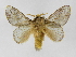  ( - INB0003935661)  @14 [ ] Copyright (2012) J. Montero Instituto Nacional de Biodiversidad