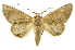  ( - INB0003935684)  @14 [ ] Copyright (2012) Juan Mata Lorenzen Unspecified