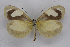  ( - INB0003936121)  @14 [ ] CreativeCommons - Attribution Non-Commercial Share-Alike (2012) National Biodiversity Institute of Costa Rica National Biodiversity Institute of Costa Rica