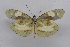  ( - INB0003936136)  @15 [ ] CreativeCommons - Attribution Non-Commercial Share-Alike (2012) National Biodiversity Institute of Costa Rica National Biodiversity Institute of Costa Rica