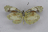  ( - INB0003938306)  @14 [ ] CreativeCommons - Attribution Non-Commercial Share-Alike (2012) National Biodiversity Institute of Costa Rica National Biodiversity Institute of Costa Rica