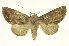  ( - INB0003942881)  @14 [ ] Copyright (2012) J. Montero INBio