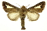  ( - INB0003942882)  @11 [ ] Copyright (2012) Juan Mata Lorenzen Unspecified