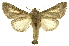  ( - INB0003942882)  @11 [ ] Copyright (2012) Juan Mata Lorenzen Unspecified