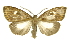  ( - INB0003942909)  @11 [ ] Copyright (2012) Juan Mata Lorenzen Unspecified